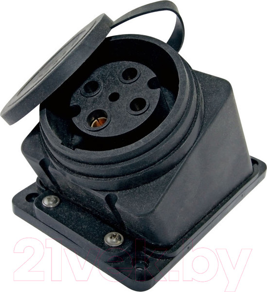 Изображение товара Розетка силовая TDM SQ0612-0009
