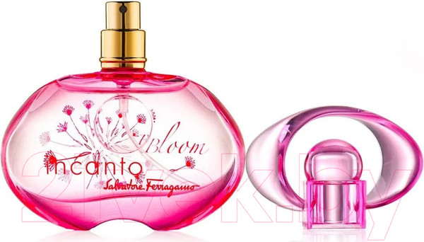 Изображение товара Туалетная вода Salvatore Ferragamo Incanto Bloom (30мл)