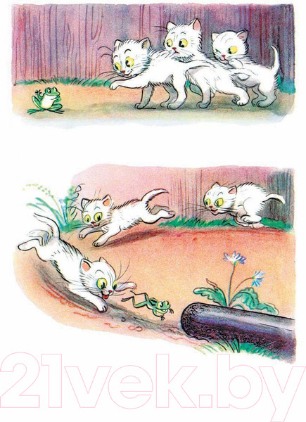 Изображение товара Книга АСТ Сказки и картинки (Сутеев В.)