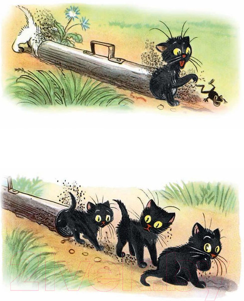 Изображение товара Книга АСТ Сказки и картинки (Сутеев В.)