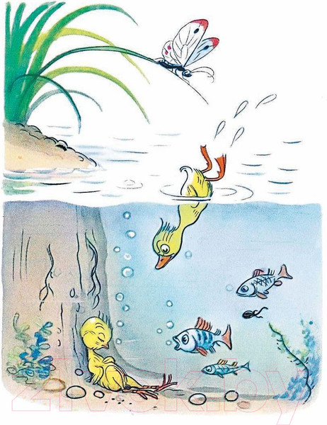 Изображение товара Книга АСТ Сказки и картинки (Сутеев В.)