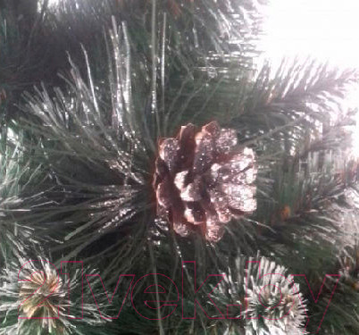 Изображение товара Сосна искусственная Maxy Poland Жемчужина серебро (3м)