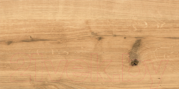 Изображение товара Плитка Cersanit Woodhouse WS4O112D (297x598, коричневый)
