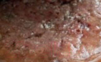 Изображение товара Влажный корм для кошек Animonda Carny с индейкой и ягненком (400г)