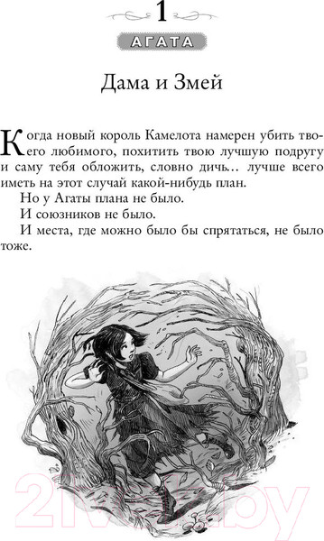 Изображение товара Книга Эксмо Школа Добра и Зла. Кристалл времени (Чайнани С.)