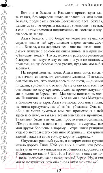 Изображение товара Книга Эксмо Школа Добра и Зла. Кристалл времени (Чайнани С.)