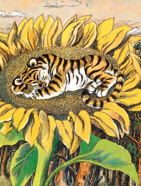 Изображение товара Книга АСТ Сказки о животных (Михалков С., Сладков Н. , Бианки В.)