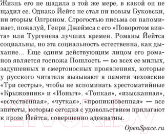 Изображение товара Художественная книга Азбука Нарушитель спокойствия (Йейтс Р.)