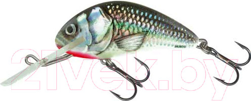 Изображение товара Воблер Salmo Hornet H4F-HGS / HT-040-FL-HGS