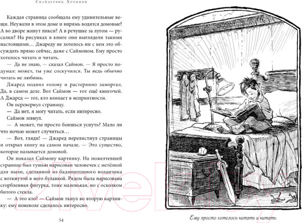 Изображение товара Книга Азбука Спайдервик. Хроники (Блэк Х., ДиТерлицци Т.)