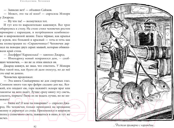 Изображение товара Книга Азбука Спайдервик. Хроники (Блэк Х., ДиТерлицци Т.)