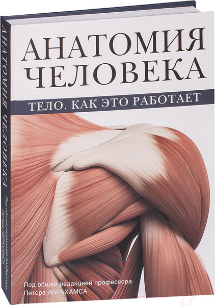 Изображение товара Книга АСТ Анатомия человека. Тело. Как это работает (Абрахамс П.)
