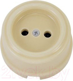 Изображение товара Розетка TDM Болонь SQ1820-0311 (слоновая кость)