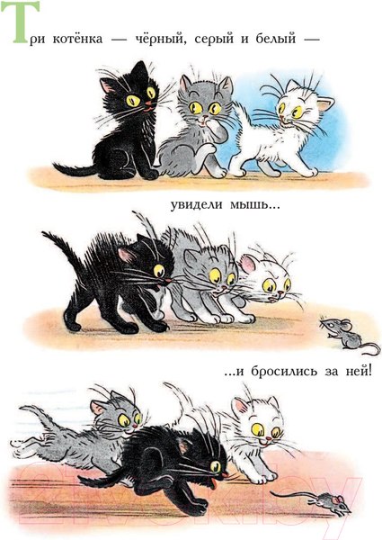Изображение товара Книга АСТ Сказки в картинках (Сутеев В.)
