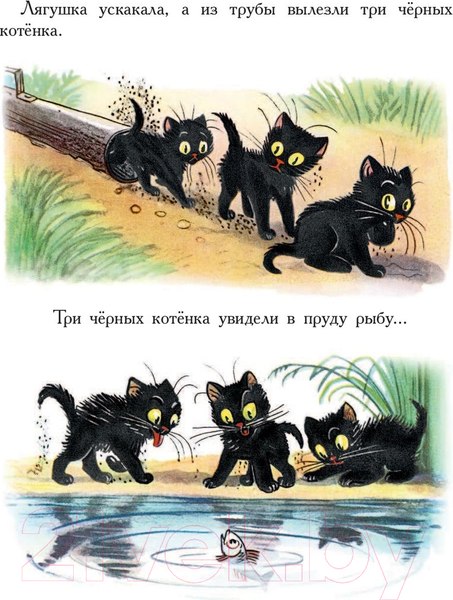 Изображение товара Книга АСТ Сказки в картинках (Сутеев В.)