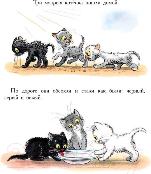 Изображение товара Книга АСТ Сказки в картинках (Сутеев В.)