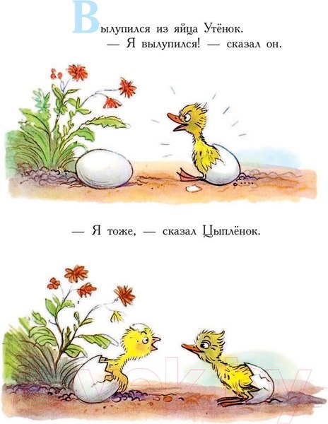 Изображение товара Книга АСТ Сказки в картинках (Сутеев В.)