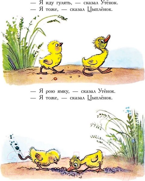 Изображение товара Книга АСТ Сказки в картинках (Сутеев В.)