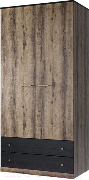 Изображение товара Шкаф Anrex Jagger 2DG2S (дуб монастырский/черный)