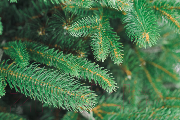 Изображение товара Ель искусственная Бифорес Фантастика микс темная / ФНМТ 165