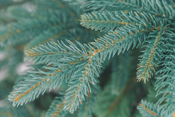 Изображение товара Ель искусственная Бифорес Фантастика микс голубая / ФНМГ 195