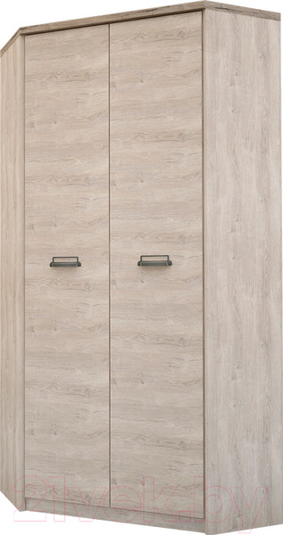 Изображение товара Шкаф Anrex Diesel 2D (дуб мадура)