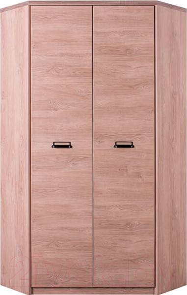 Изображение товара Шкаф Anrex Diesel 2D (дуб мадура)