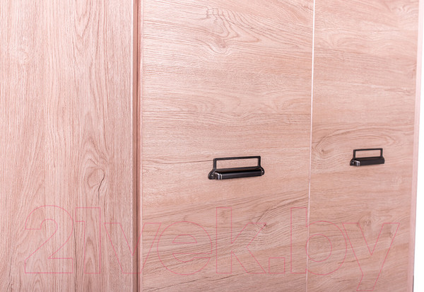 Изображение товара Шкаф Anrex Diesel 2D (дуб мадура)