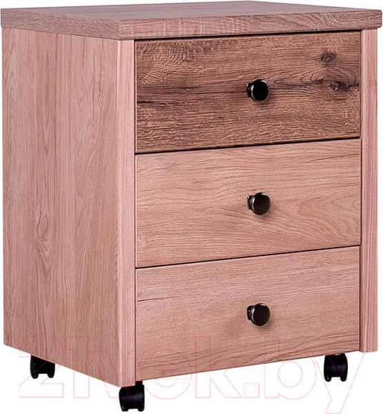 Изображение товара Тумба Anrex Diesel 3S/D1 (дуб мадура/веллингтон)