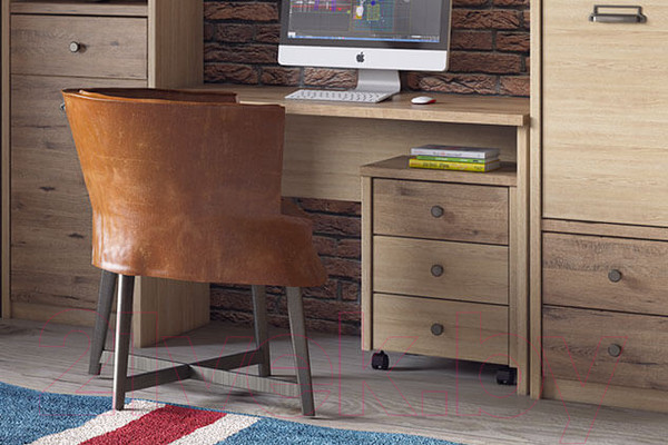 Изображение товара Тумба Anrex Diesel 3S/D1 (дуб мадура/веллингтон)