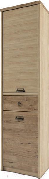 Изображение товара Шкаф-пенал Anrex Diesel 2D1S/D1 (дуб мадура/веллингтон)