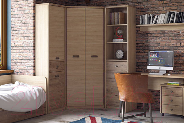 Изображение товара Шкаф-пенал Anrex Diesel 2D1S/D1 (дуб мадура/веллингтон)