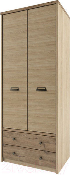 Изображение товара Шкаф Anrex Diesel 2DG2S/D1 (дуб мадура/веллингтон)