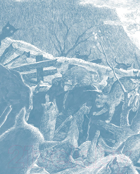 Изображение товара Книга АСТ Кошачья школа. Тайна хрустальной пещеры (Ким Ч.)