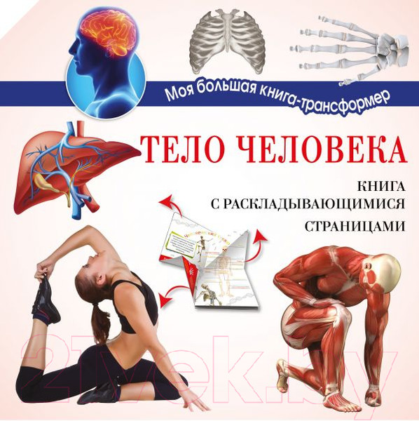 Изображение товара Энциклопедия АСТ Тело человека (Усова И.)