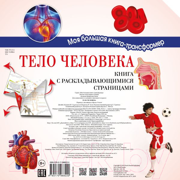 Изображение товара Энциклопедия АСТ Тело человека (Усова И.)