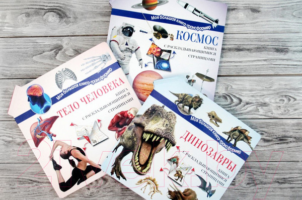 Изображение товара Энциклопедия АСТ Тело человека (Усова И.)