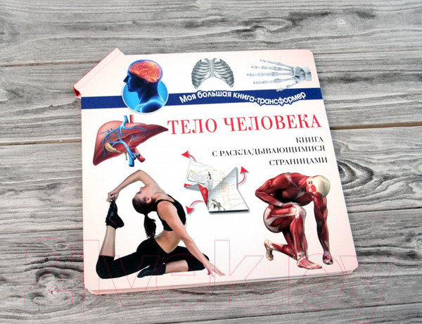 Изображение товара Энциклопедия АСТ Тело человека (Усова И.)