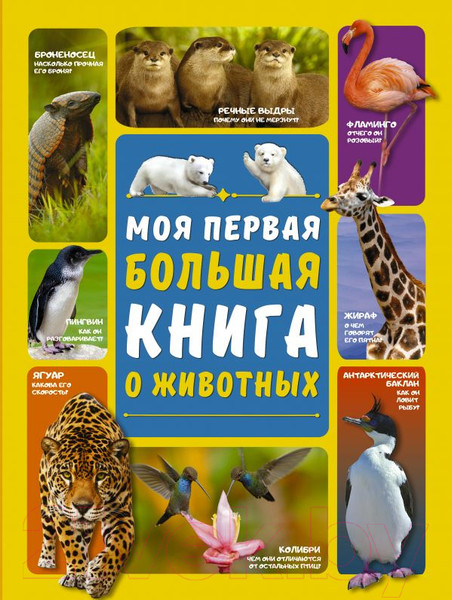 Изображение товара Энциклопедия АСТ Моя первая большая книга о животных (Вайткене Л., Ермакович Д.)