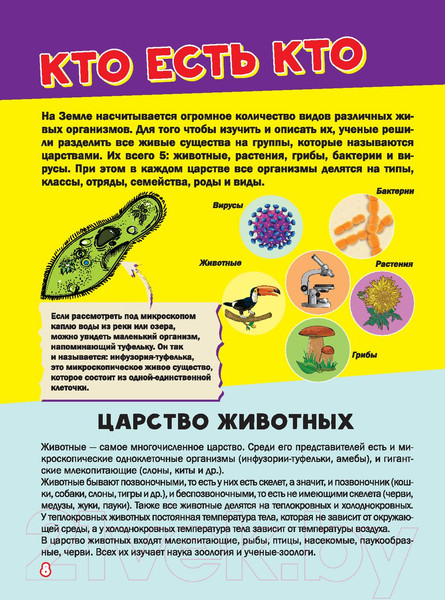 Изображение товара Энциклопедия АСТ Моя первая большая книга о животных (Вайткене Л., Ермакович Д.)