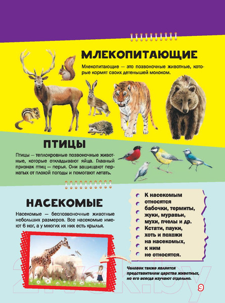 Изображение товара Энциклопедия АСТ Моя первая большая книга о животных (Вайткене Л., Ермакович Д.)