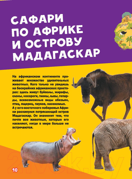 Изображение товара Энциклопедия АСТ Моя первая большая книга о животных (Вайткене Л., Ермакович Д.)