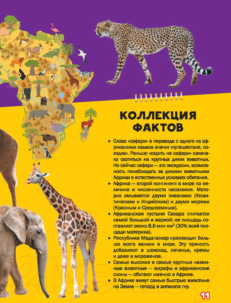 Изображение товара Энциклопедия АСТ Моя первая большая книга о животных (Вайткене Л., Ермакович Д.)