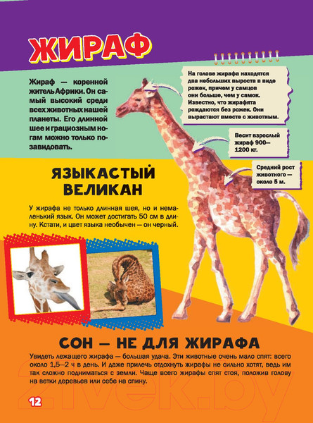 Изображение товара Энциклопедия АСТ Моя первая большая книга о животных (Вайткене Л., Ермакович Д.)