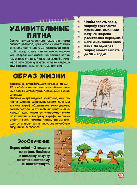 Изображение товара Энциклопедия АСТ Моя первая большая книга о животных (Вайткене Л., Ермакович Д.)