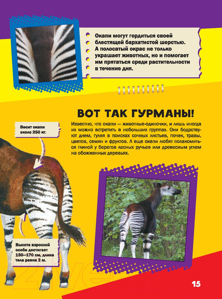 Изображение товара Энциклопедия АСТ Моя первая большая книга о животных (Вайткене Л., Ермакович Д.)