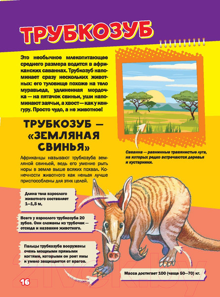 Изображение товара Энциклопедия АСТ Моя первая большая книга о животных (Вайткене Л., Ермакович Д.)
