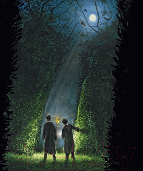 Изображение товара Книга Махаон Гарри Поттер и Кубок Огня (Роулинг Дж.)