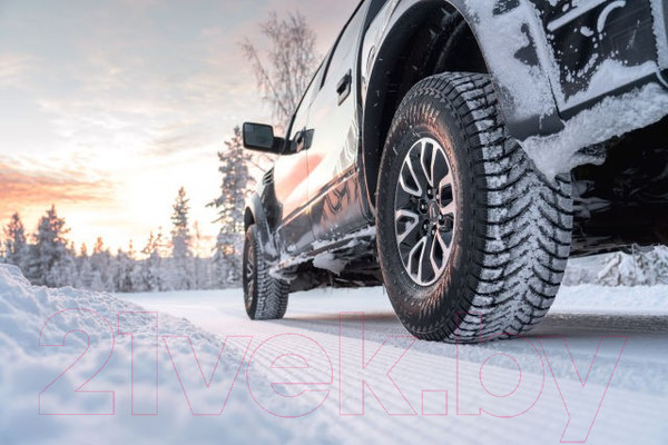 Изображение товара Зимняя легкогрузовая шина Nokian Tyres Hakkapeliitta LT3 265/70R17 121/118Q (шипы)