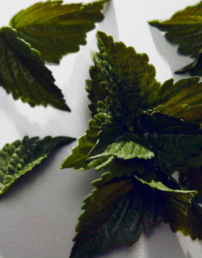 Изображение товара Туалетная вода Dolce&Gabbana Pour Homme (75мл)